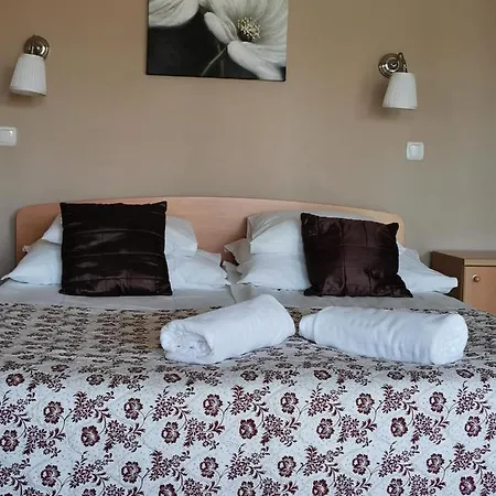 Villa Viola Spa&Garden Apartment Gyula