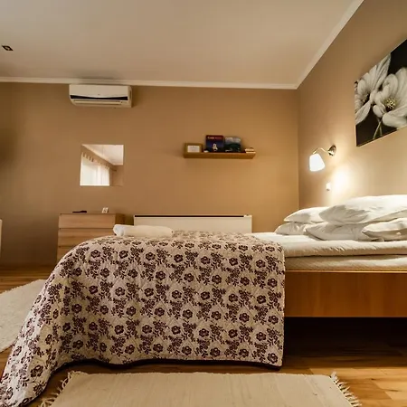 Villa Viola Spa&Garden Gyula