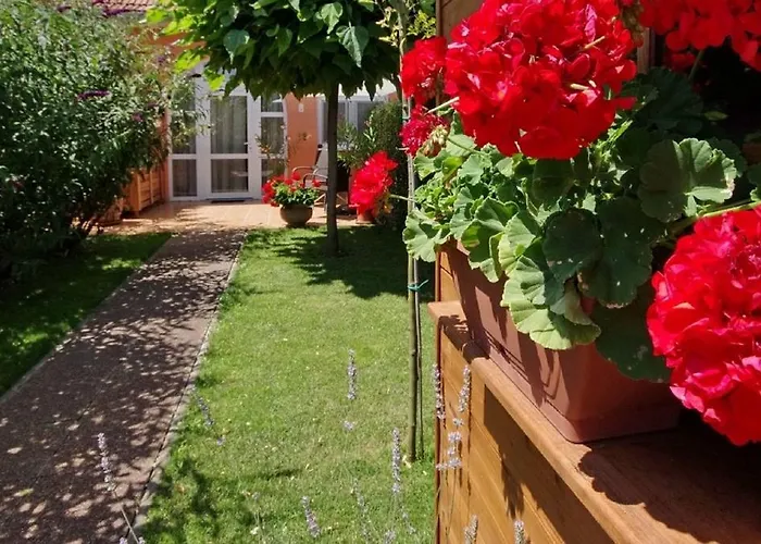 Viola Spa&garden Lejlighed *